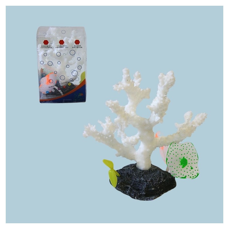 SH-003# CORAL CH /113245